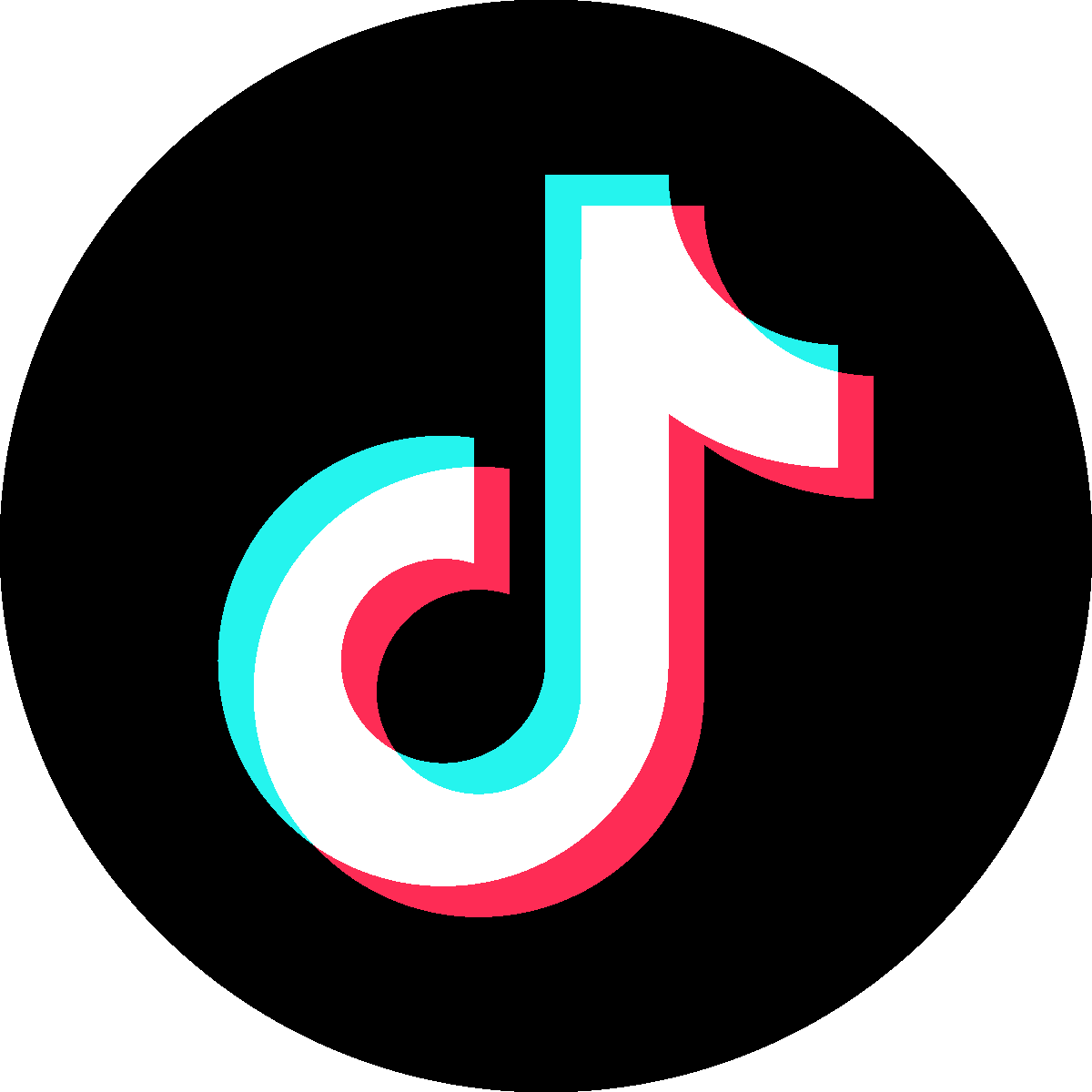 Pagina de TikTok Dielma