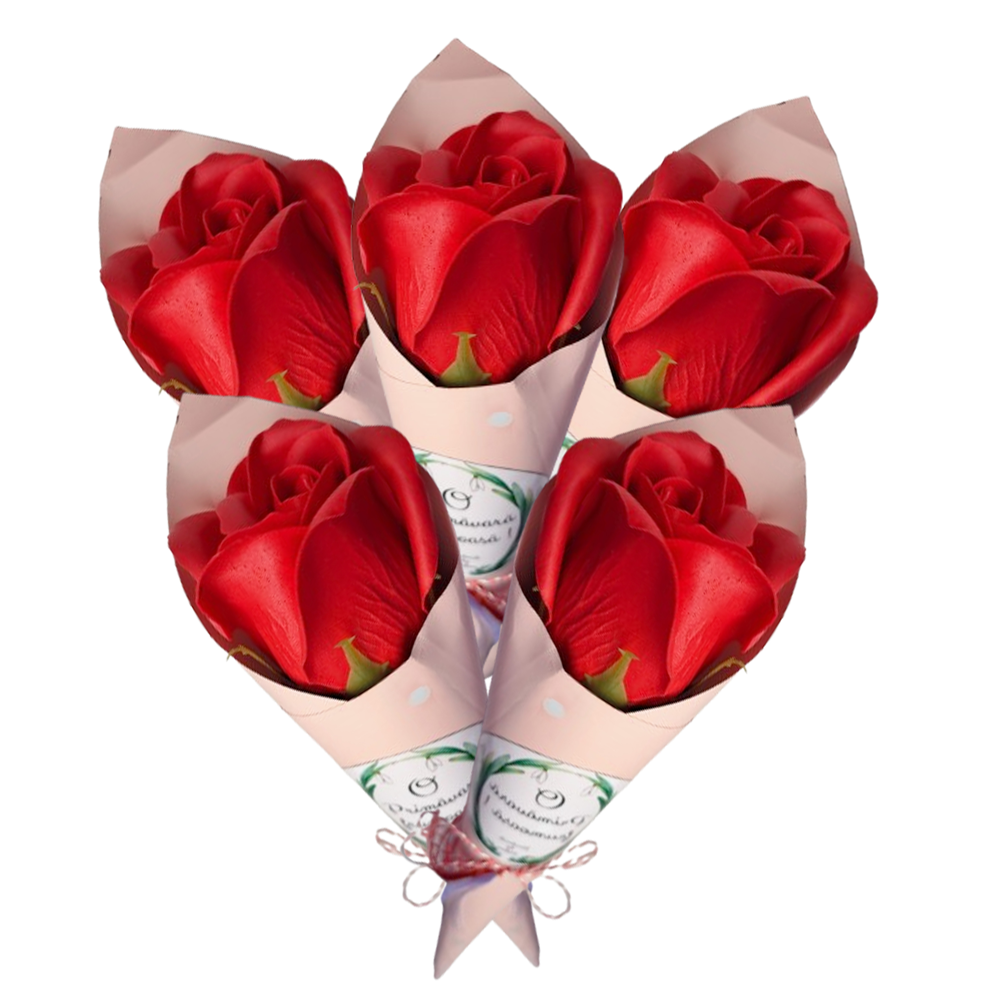 Trandafir rosu in con roz - Trandafiri in con