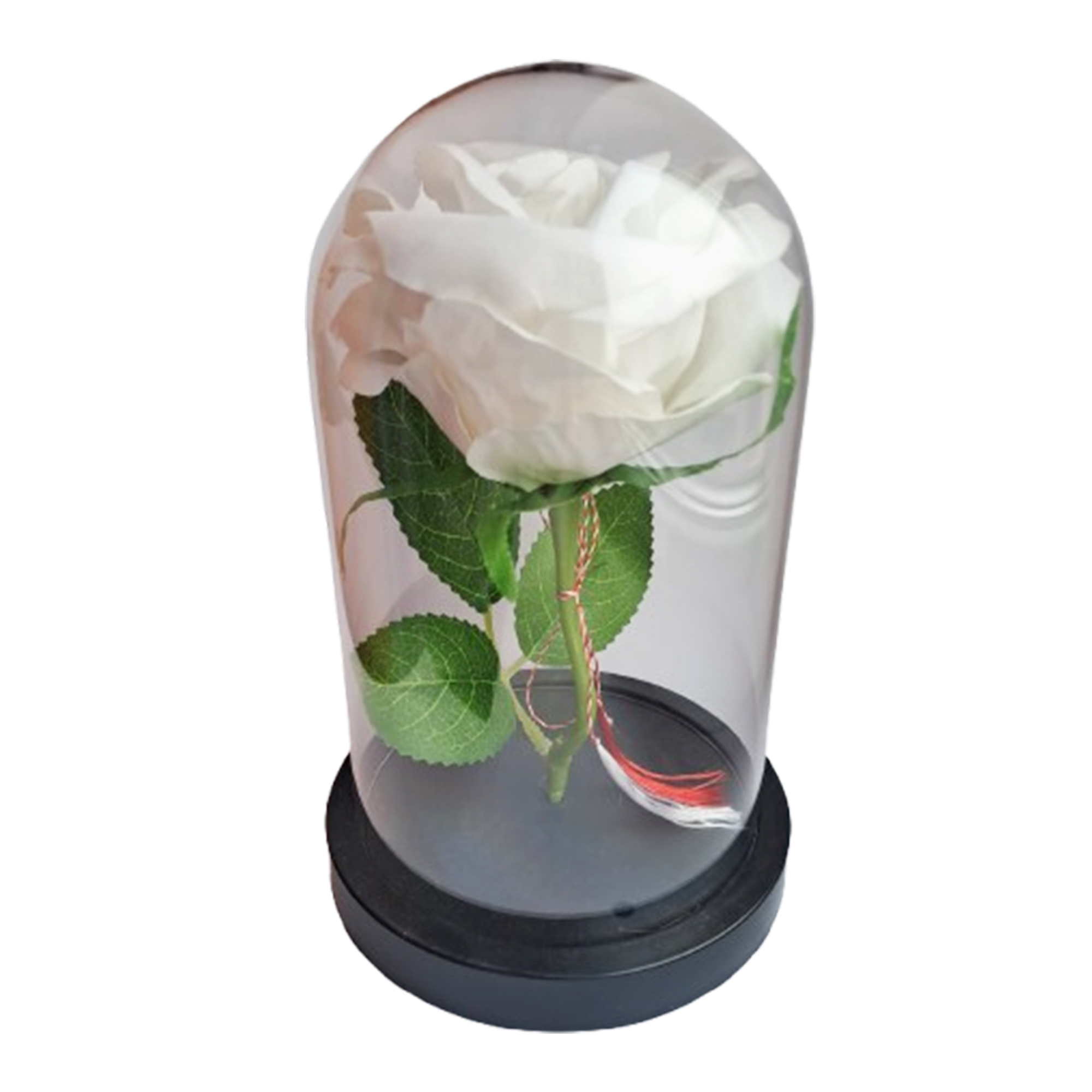 Trandafir alb de catifea in cupola - Trandafiri de catifea in cupola