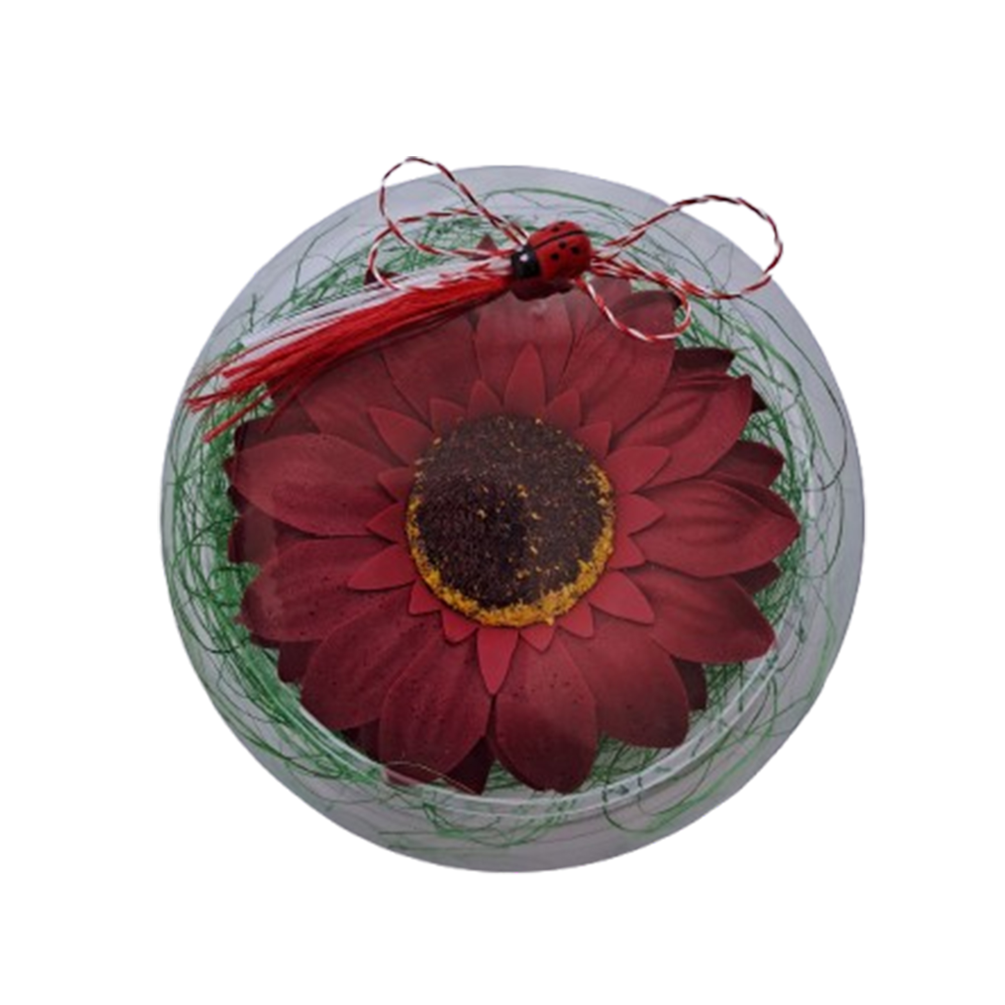 Gerbera rosie in cutiuta transparenta - Gerbera in cutiuta