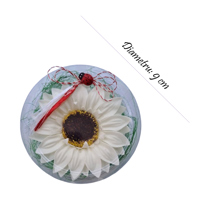 Gerbera crem in cutiuta transparenta - imagine 2