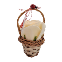 Trandafir în coșuleț, Crem - 20250045