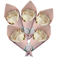 Trandafir crem in con roz - 20250057