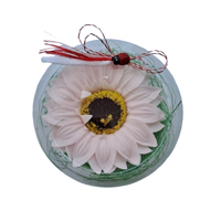 Gerbera roz in cutiuta transparenta