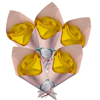 Trandafir galben in con roz - 20250053