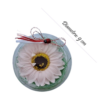 Gerbera roz in cutiuta transparenta - imagine 2