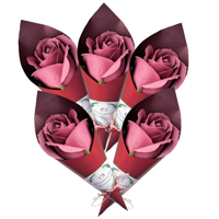 Trandafir burgund in con grena - 20250066