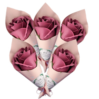 Trandafir burgund in con roz - 20250056